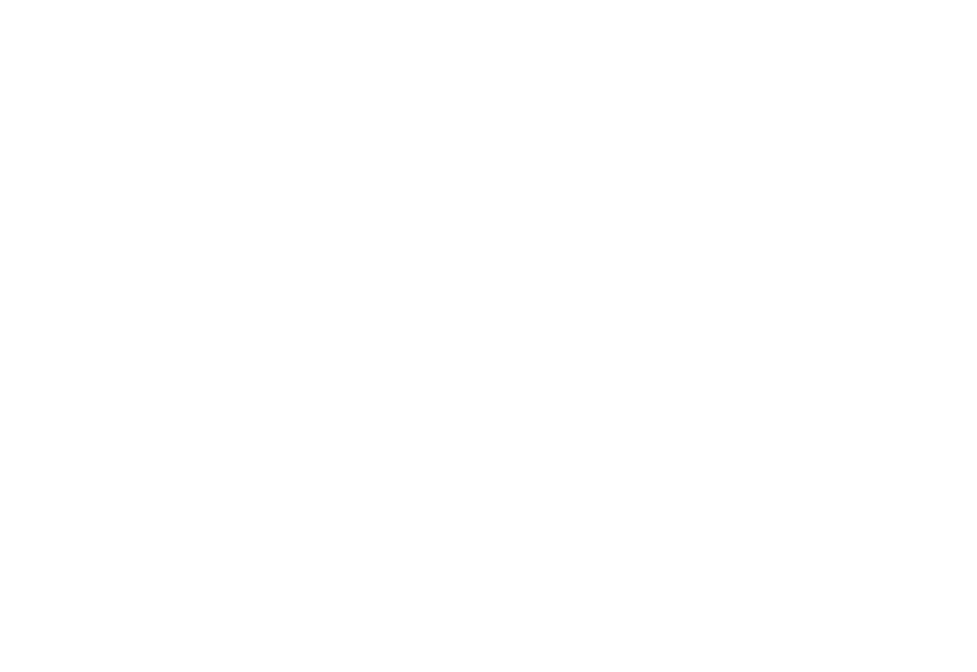 Bide Bakarra